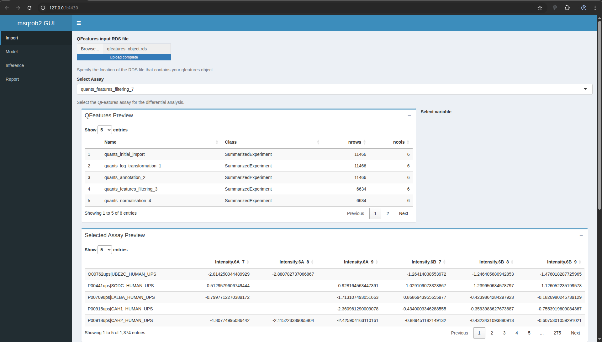 Figure 13. msqrob2gui application upon data import.