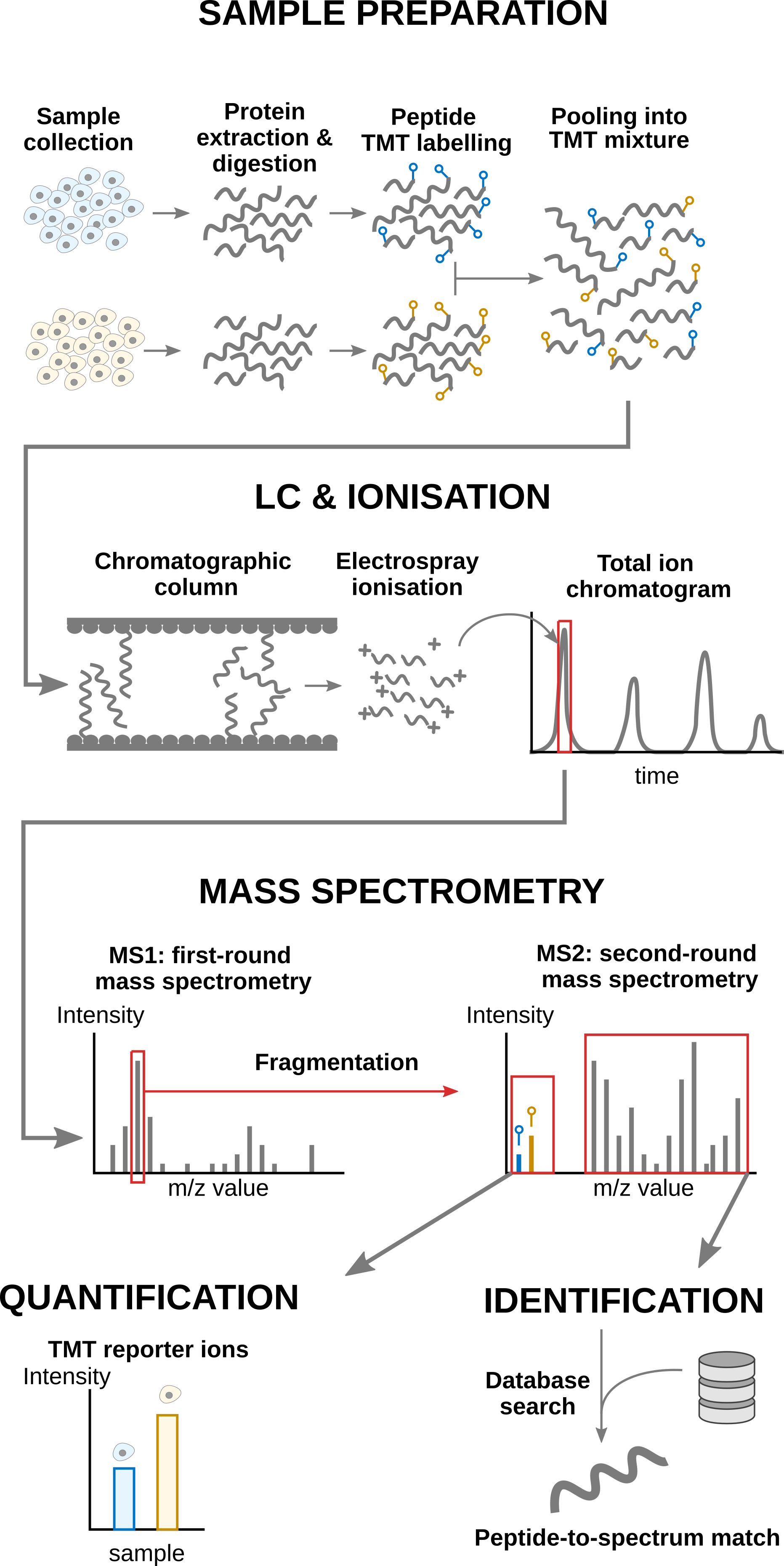 Overview of an TMT-based proteomics workflow.