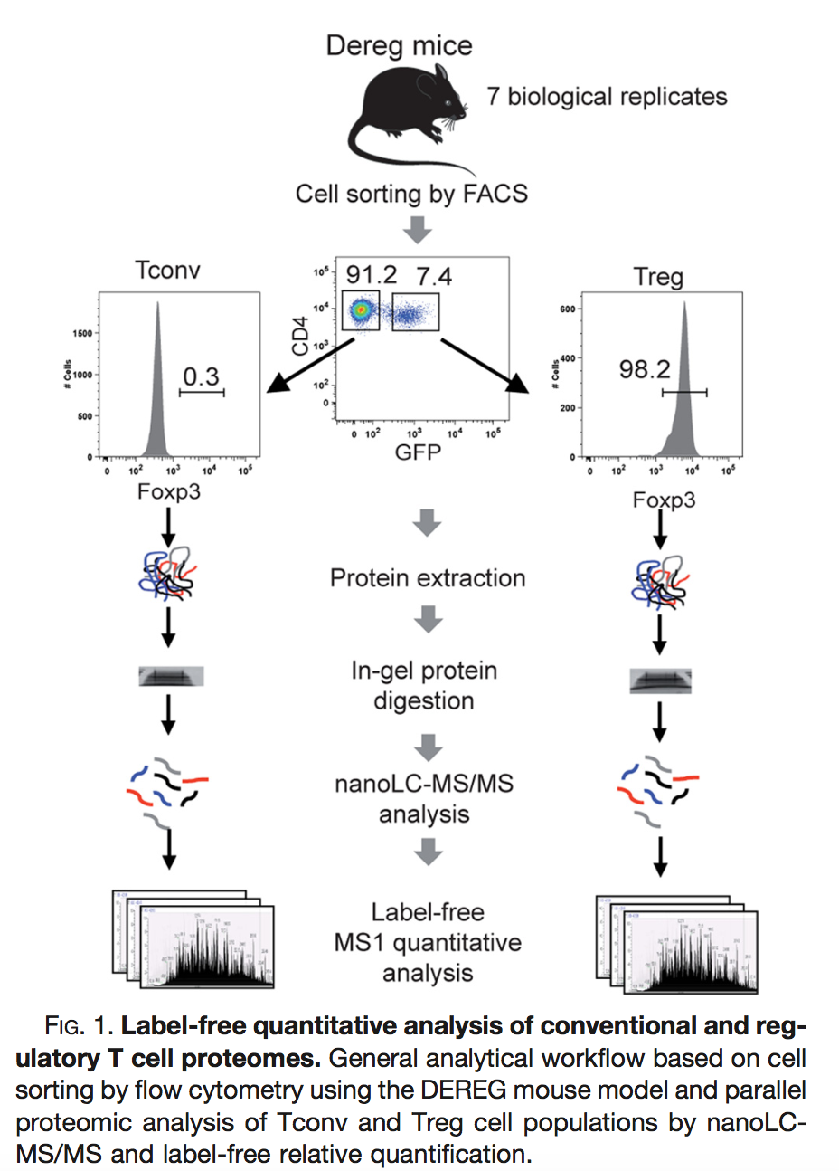 Figure 2. Design Mouse Study