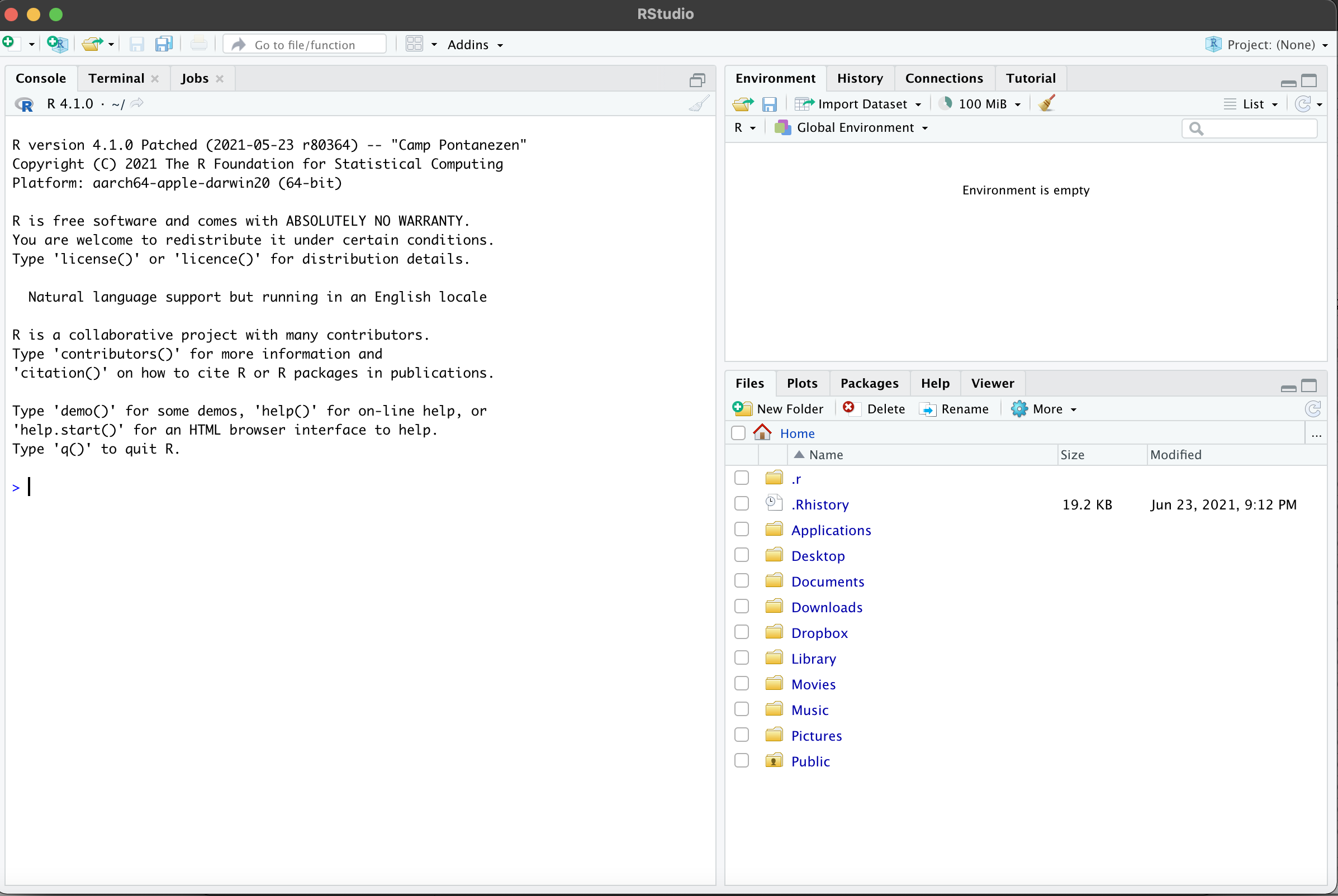 Figure 1. RStudio