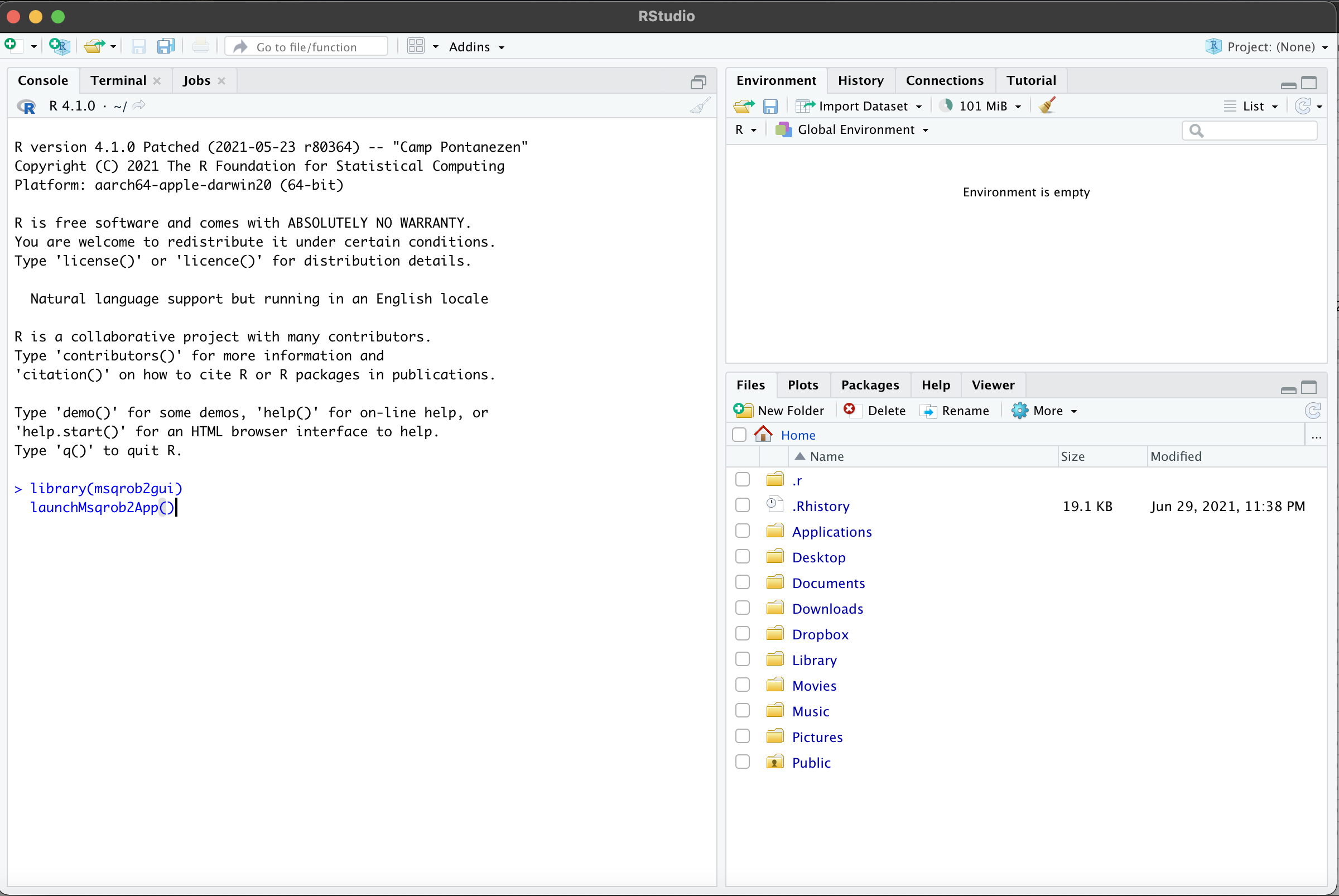 Figure 2. Rstudio with launchcommand