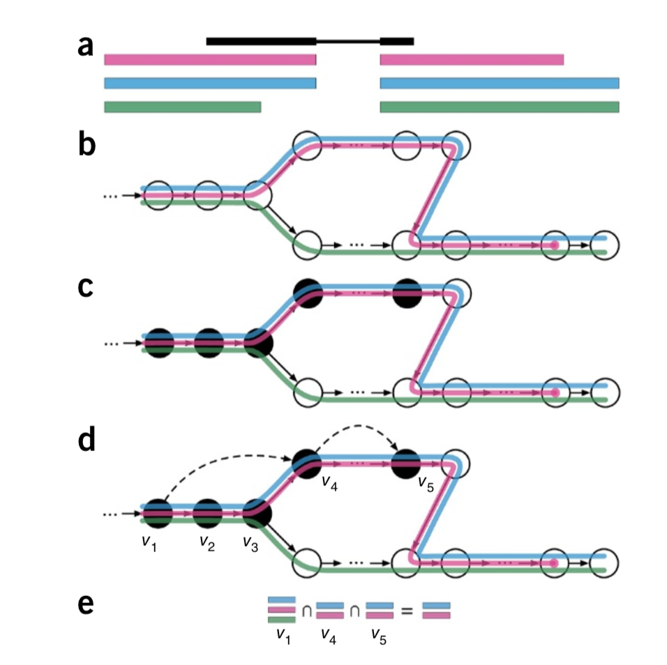 Figure: Overview of kallisto, image from Bray et al. (2016).