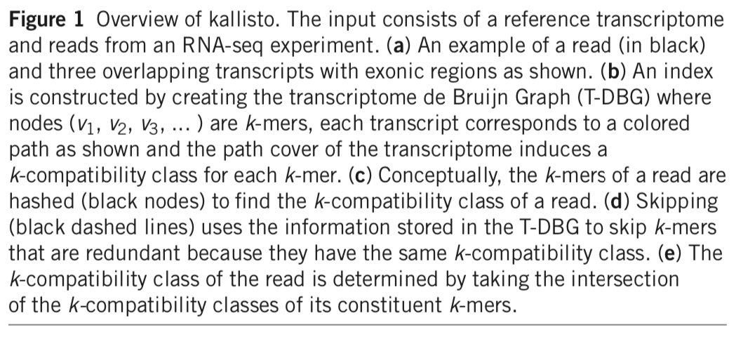 Figure: Overview of kallisto, image from Bray et al. (2016).