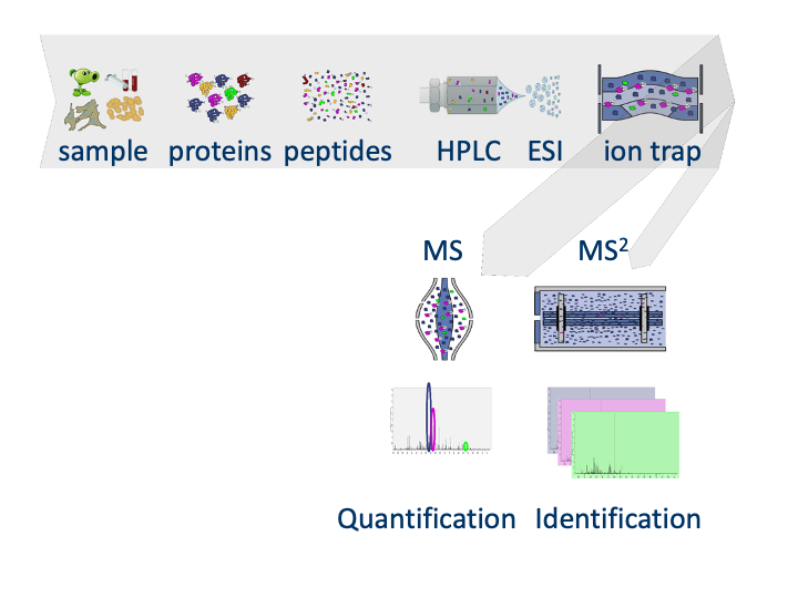 Statistical Methods For Quantitative Ms Based Proteomics Part I Preprocessing