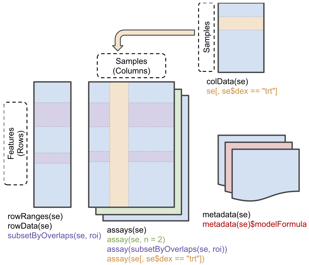 Conceptual representation of a `SummarizedExperiment` object.  Assays contain information on the measured omics features (rows) for different samples (columns). The `rowData` contains information on the omics features, the `colData` contains information on the samples, i.e. experimental design etc.