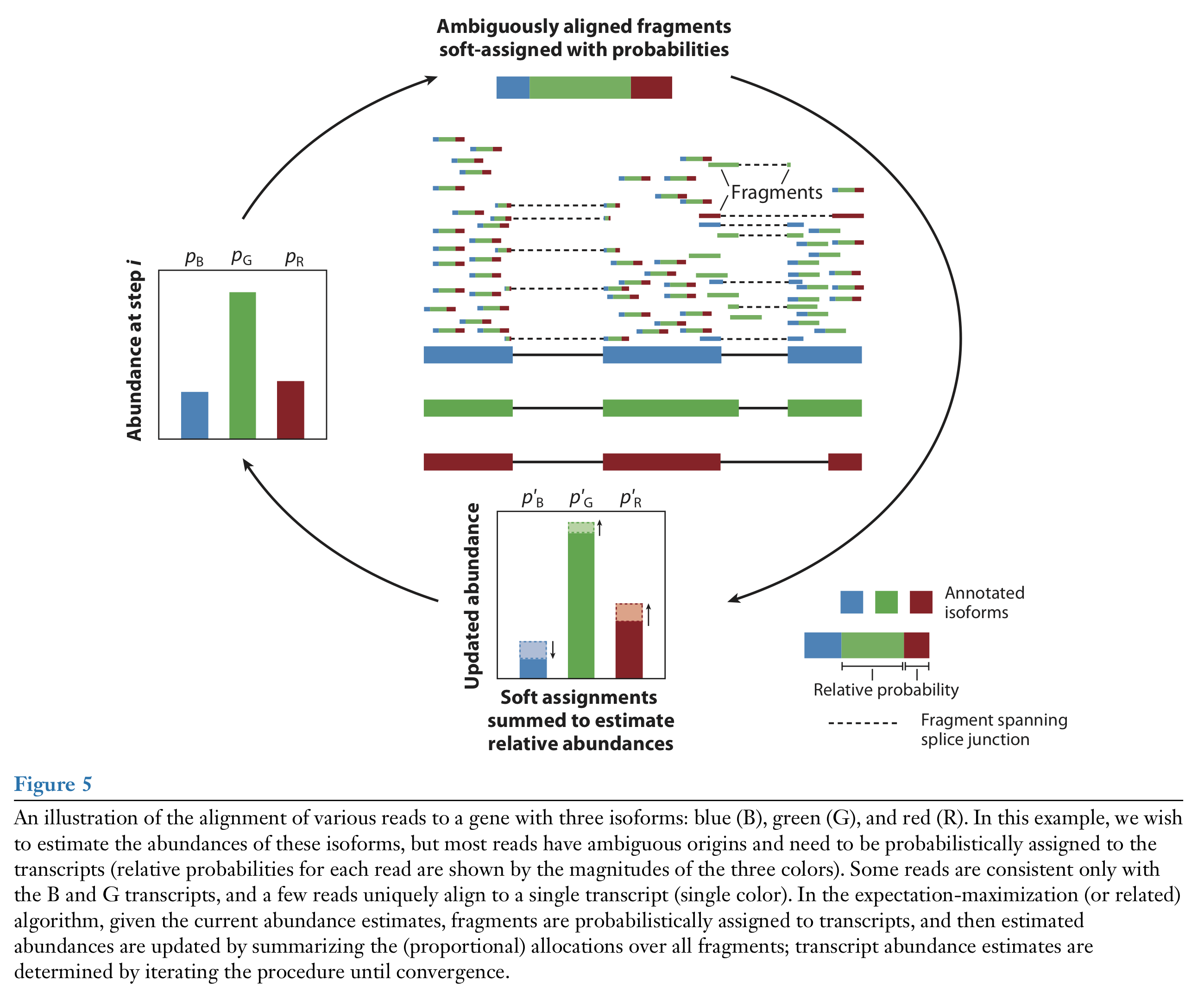 Figure: Abundance quantification using the EM algorithm. Figure from Van den Berge et al. (2019).