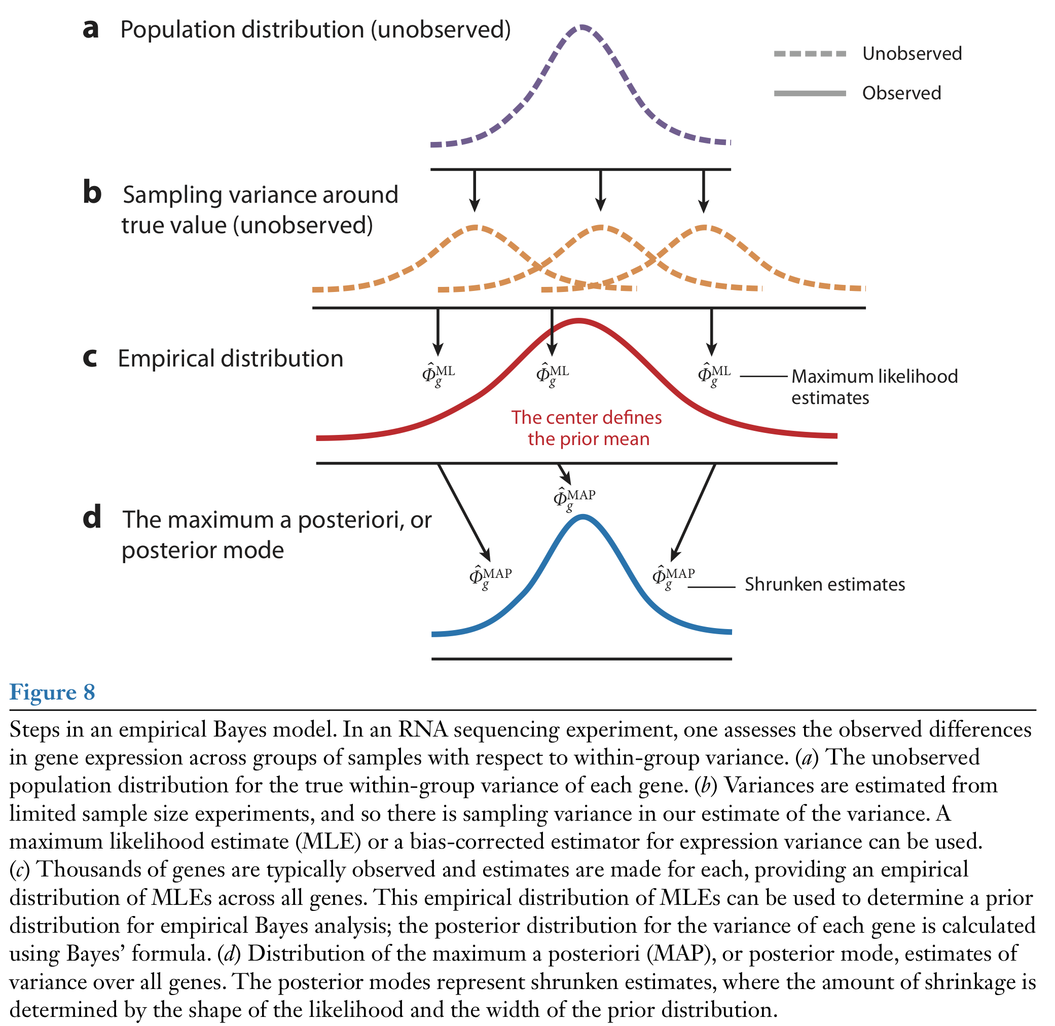 Figure 8 from Van den Berge *et al.* (2019).