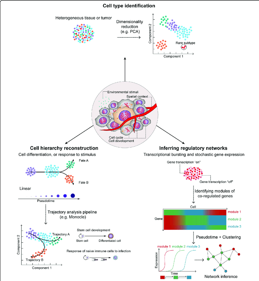 Hwang et al. 2018, doi: 10.1038/s12276-018-0071-8