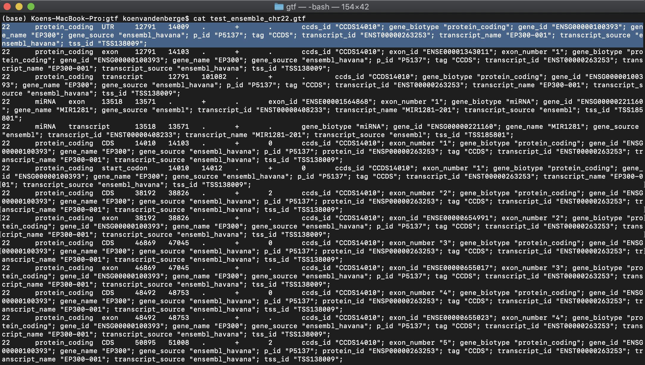 Figure: An example GTF file.