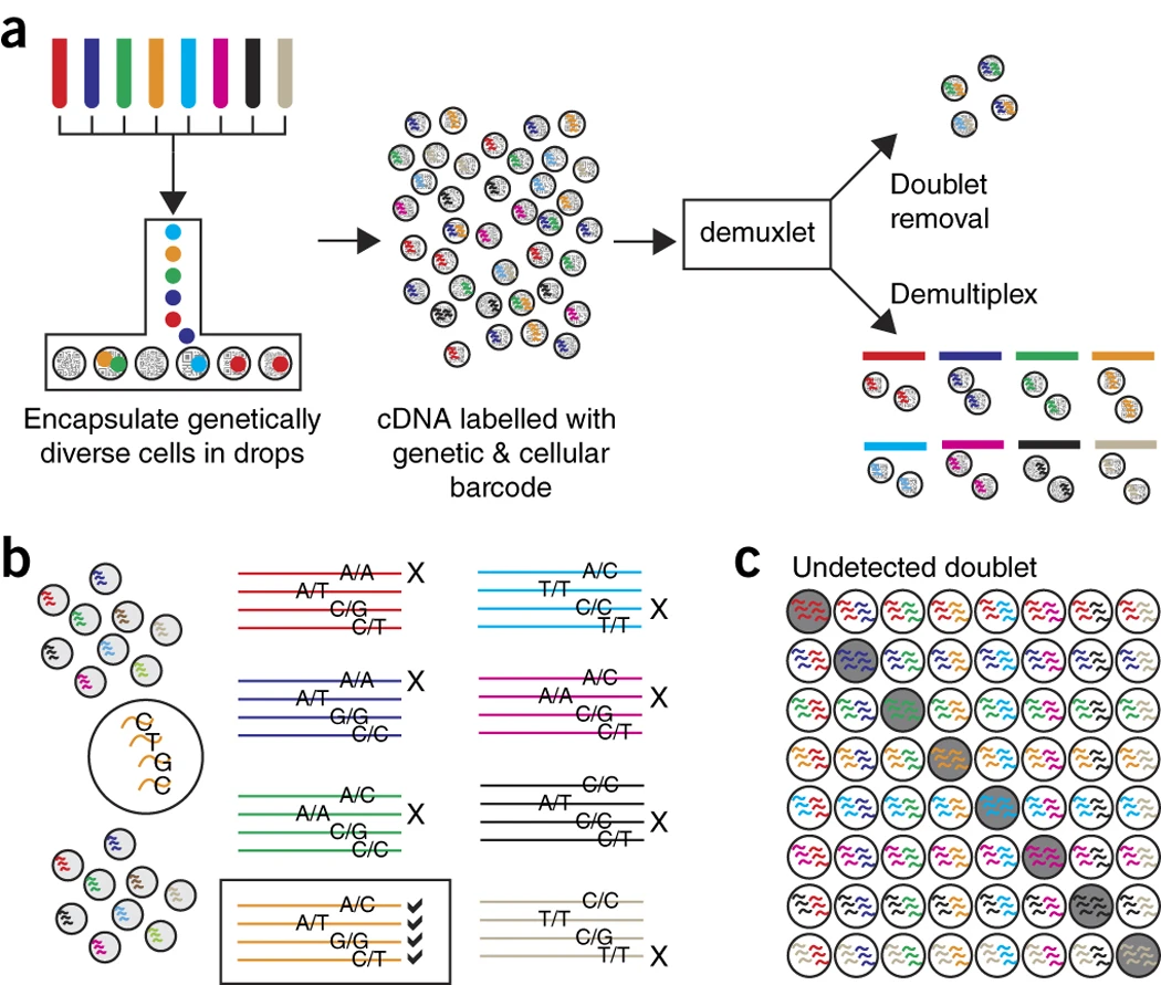 Kang et al. 2018, doi: 10.1038/nbt.4042