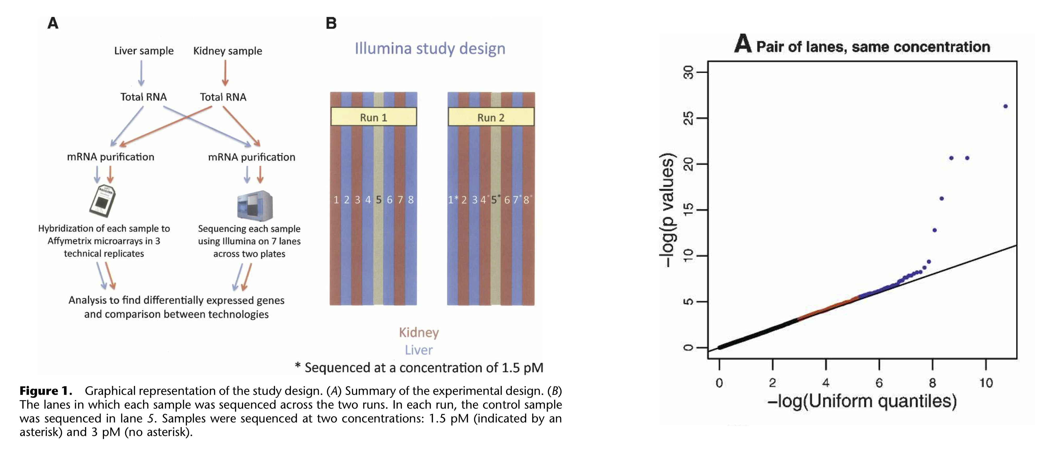 Figure: Technical replication in RNA-seq. Figures from Marioni et al. (2008).