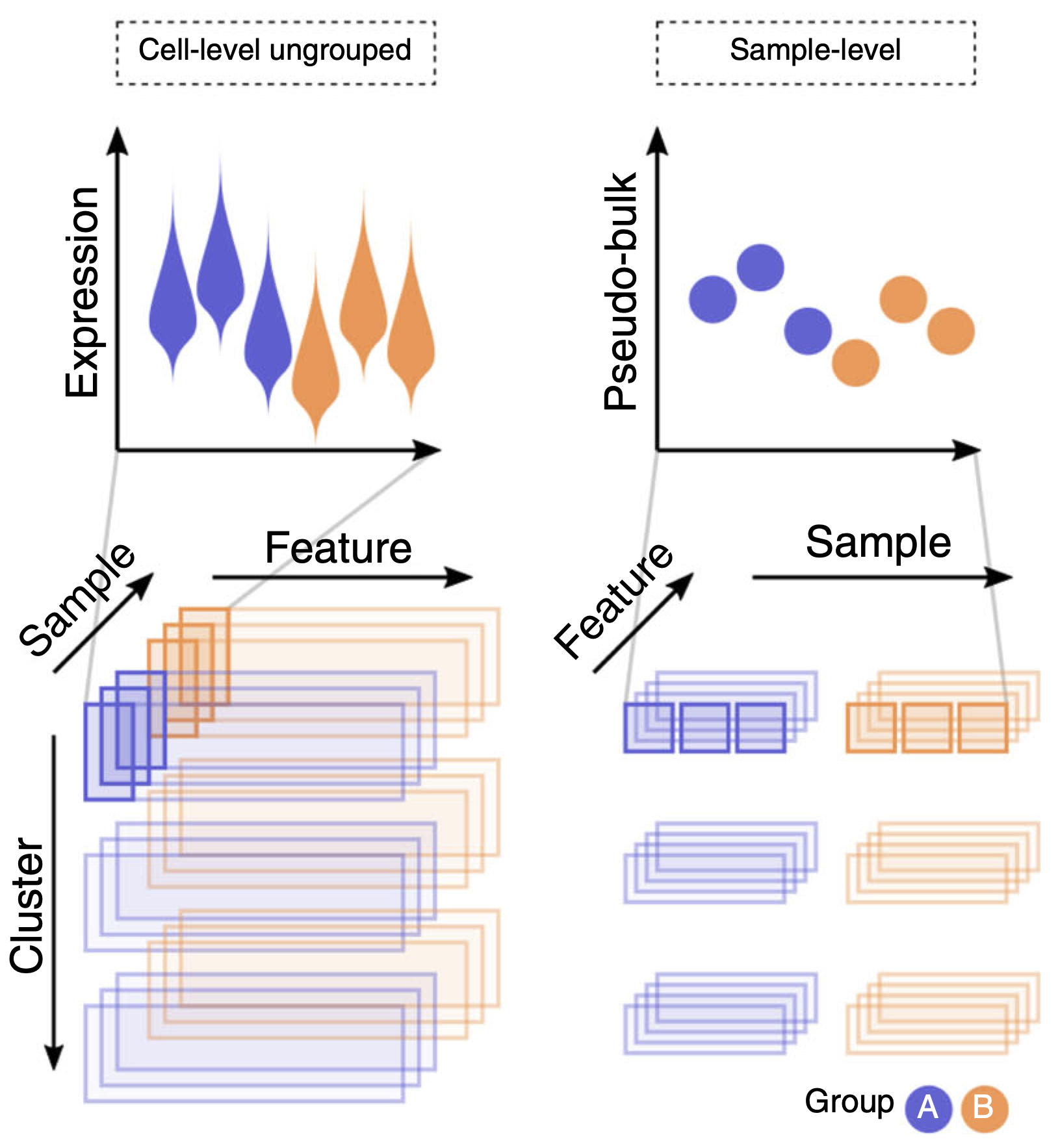 Crowell et al. 2020 (DOI: 10.1038/s41467-020-19894-4)