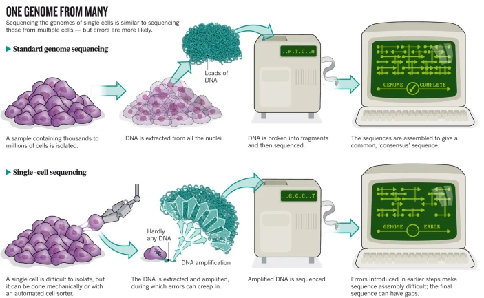 Owens, 2012, doi: 10.1038/491027a