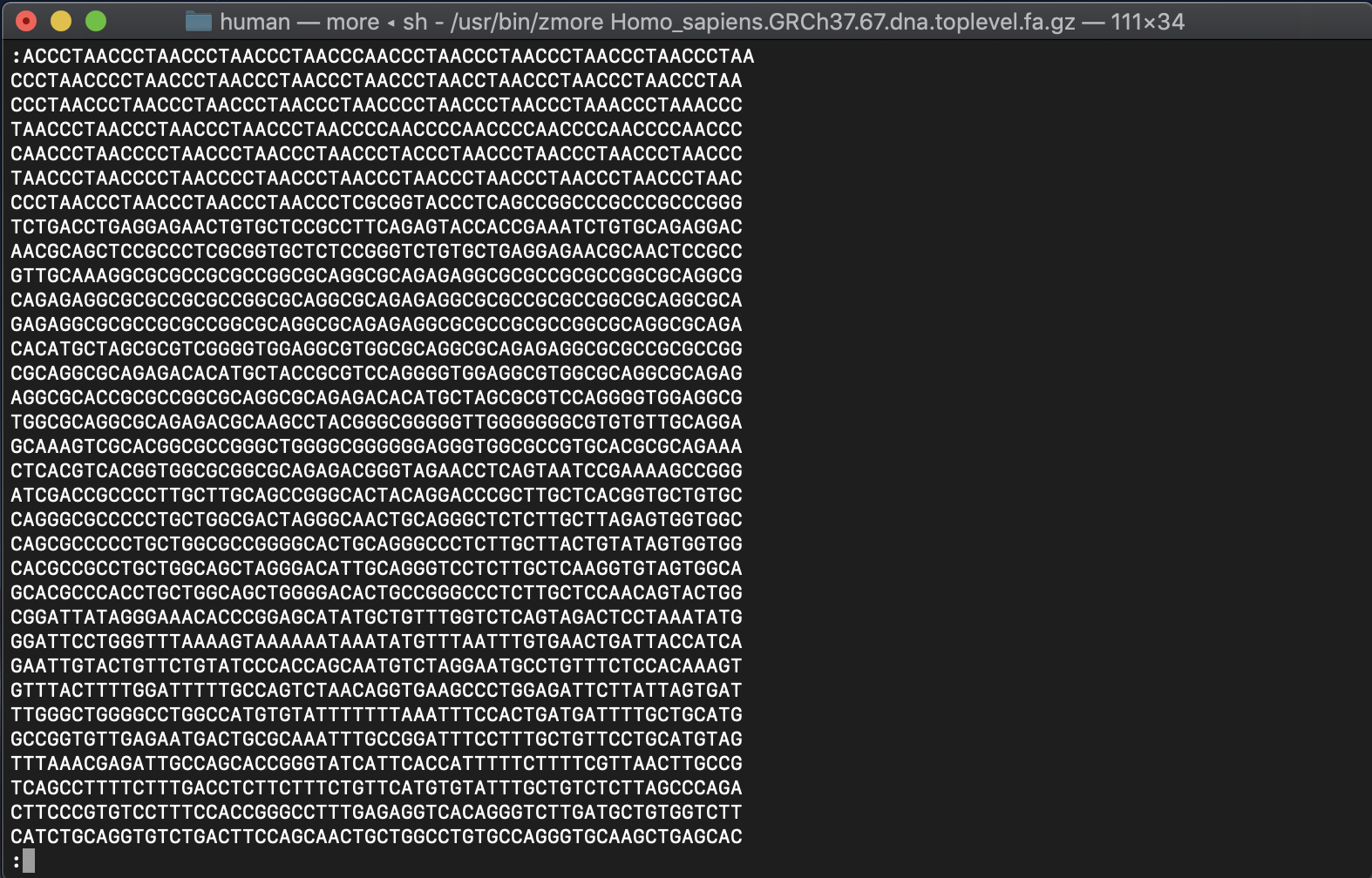 Figure: A reference sequence of human chr1.