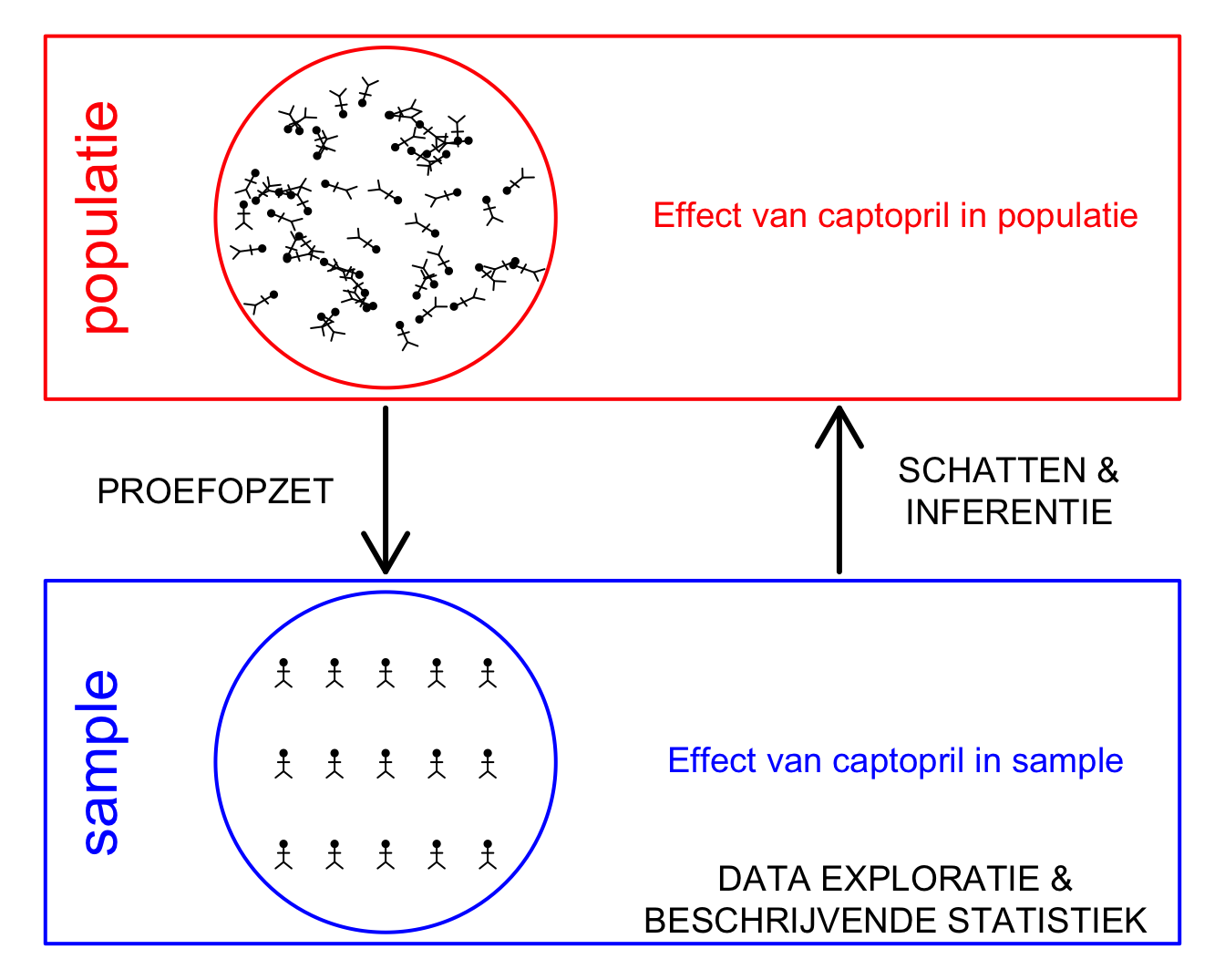 Verschillende stappen in de captopril studie.