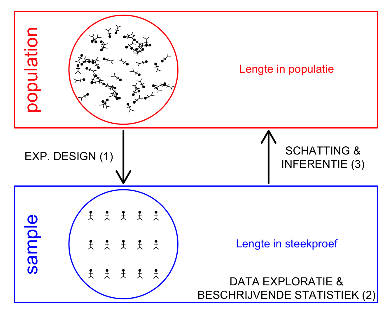 Verschillende stappen in een studie. (1) In de design fase/ proefopzet definieert de onderzoeker de populatie, bepaalt hij/zij op welke manier een steekproef zal worden genomen uit de populatie en hoe het experiment zal worden uitgevoerd. Ook het volledige data analyse plan moet in deze fase zijn vastgelegd. Vervolgens wordt het experiment uitgevoerd en worden de gegevens verzameld. (2) De gegevens worden vervolgens verkend en samengevat. Hierbij verwerft men inzicht in de gegevens en kunnen aannames worden nagegaan die noodzakelijk zijn voor de verdere data analyse stappen. (3) Tenslotte zal men hetgeen men observeert in de steekproef trachten te veralgemenen naar de populatie toe a.d.h.v. statistische inferentie.