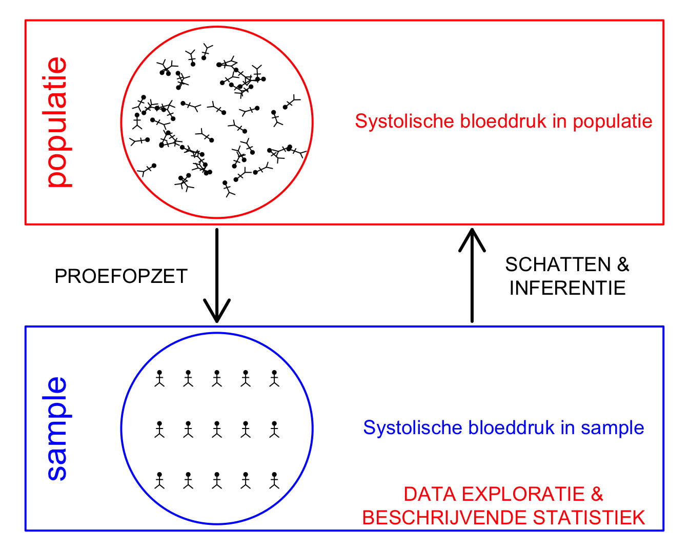 Verschillende stappen in een studie. In dit hoofdstuk ligt de focus op de data-exploratie en beschrijvende statistiek