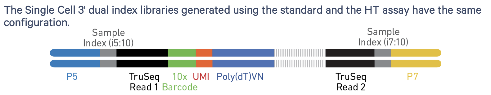 Figure: The 10X Genomics Chromium protocol. Images from 10X Genomics.