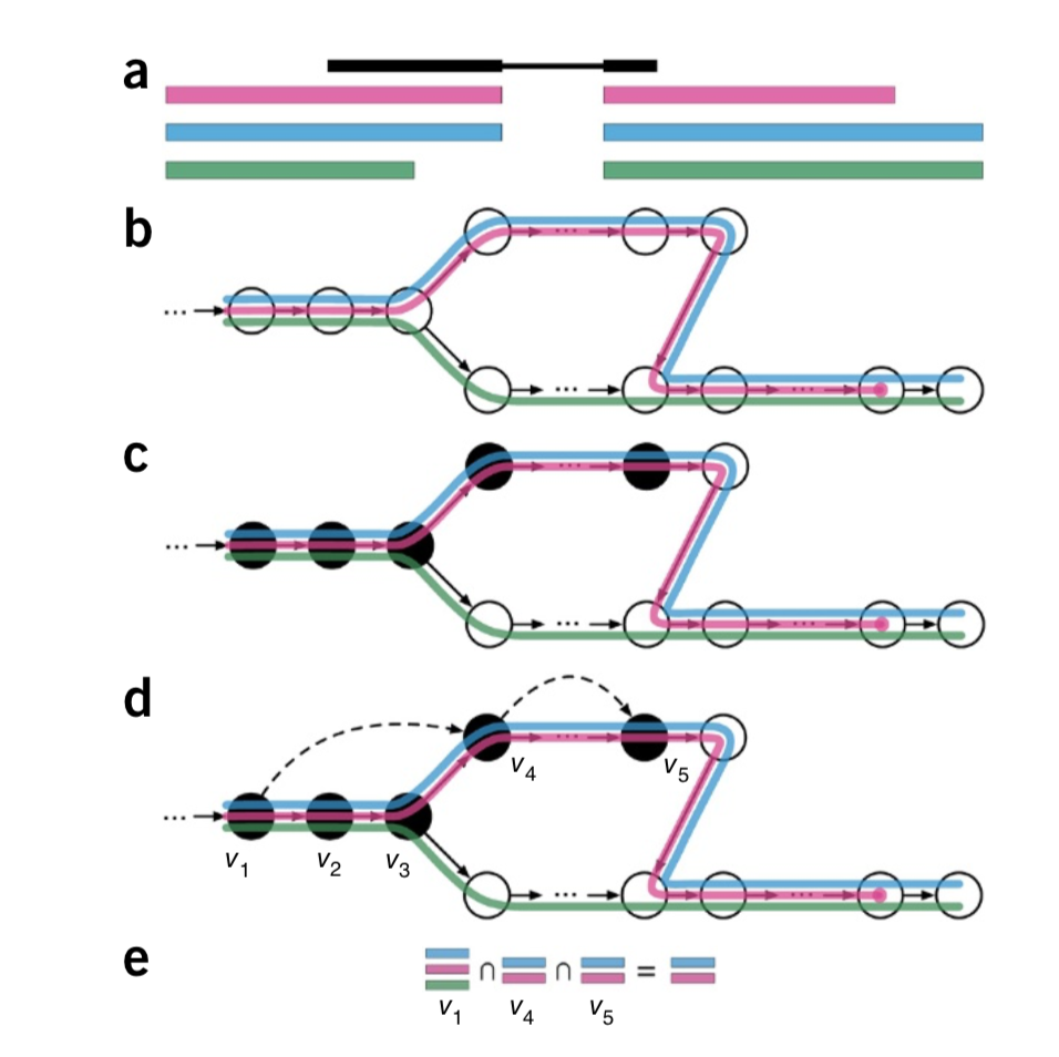 Figure: Overview of kallisto, image from Bray et al. (2016).