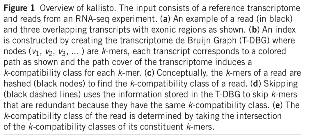 Figure: Overview of kallisto, image from Bray et al. (2016).